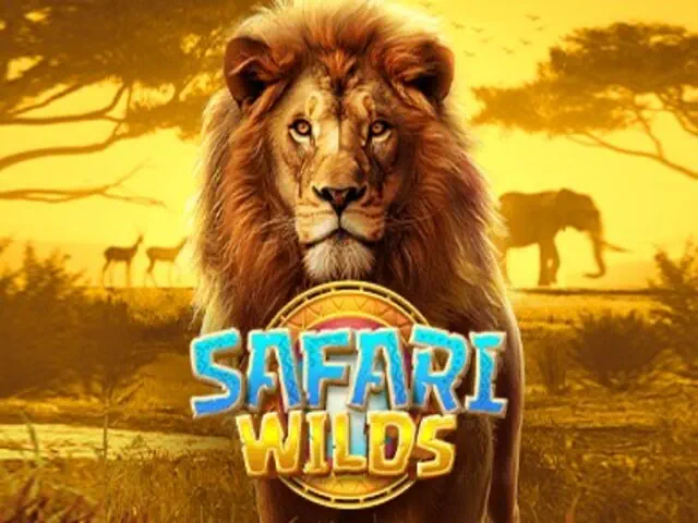 Safari Wilds